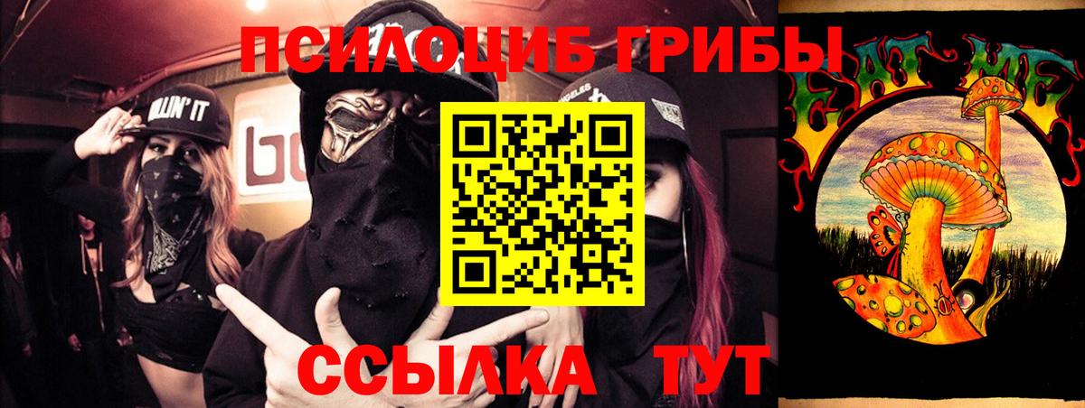 Псилоцибиновые грибы мицелий  Вход с VPN  Черемхово  Псилоцибиновые грибы MAGIC MUSHROOMS 
