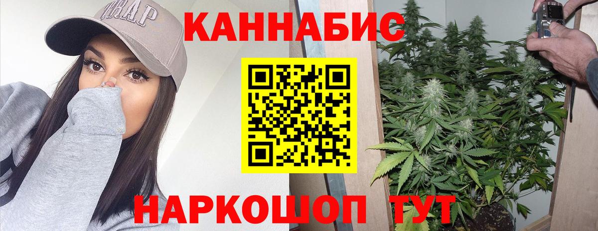 Конопля сатива  МАРИХУАНА план  Черемхово  МАРИХУАНА индика  Вход с VPN 